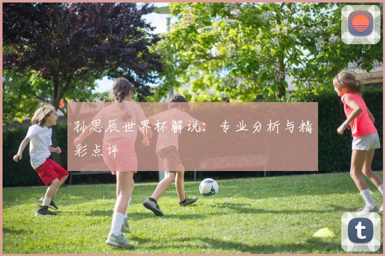 孙思辰世界杯解说:专业分析与精彩点评