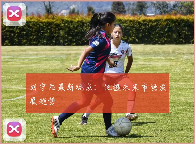 刘守元最新观点:把握未来市场发展趋势